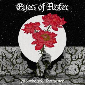 Download track Clavicle Eyes Of Aster