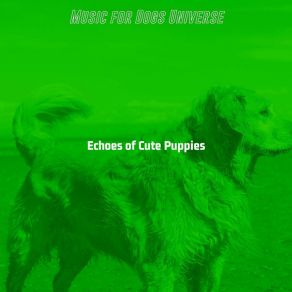 Download track Casual Ambiance For Training Dogs Music For Dogs Universe