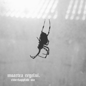 Download track Extinguished Sun (Instrumental) Moartea Regelui