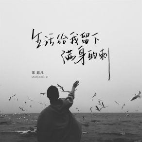 Download track 生活给我留下满身的刺 (伴奏) 常超凡