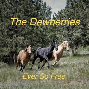 Download track Crazy Guy The Dewberries