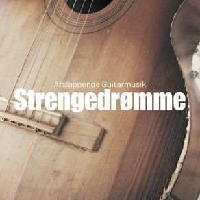 Download track Shredder Storm Saga Afslappende Guitarmusik