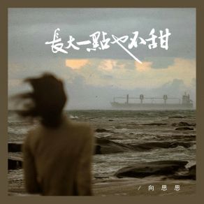 Download track 长大一点也不甜 向思思