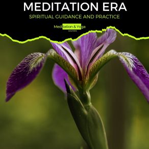 Download track Super Chilled Zen Healing Melodies