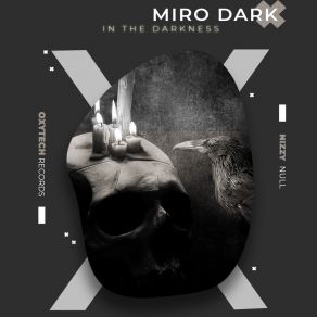 Download track In The Darkness (Null Remix) NULL