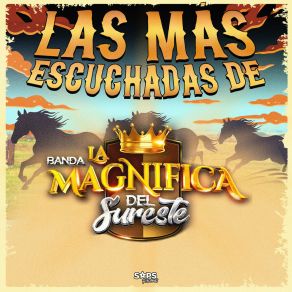 Download track Lujos Y Secretos Banda La Magnífica Del Sureste