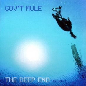 Download track Sin's A Good Man's Brother Gov'T Mule