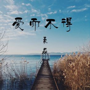 Download track 爱而不得 (伴奏) 姜淼淼