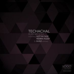 Download track Burn My Soul (Henrik Jozef Vocal Remix) Techachal