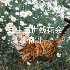 Download track 三生三世残花会 (伴奏) 魔尊楠哥