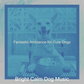 Download track Romantic Backdrops For Relaxing Dogs Bright Calm Dog Music