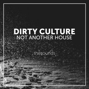 Download track Not Another House (Original Mix) Dirty Culture