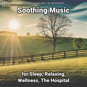 Download track Soothing Music, Pt. 2 Relaxing Spa Music