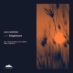 Download track Enlightment (Tlazohtla Remix) Alex DoeringTlazohtla