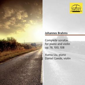 Download track Violin Sonata No. 3 In D Minor, Op. 108 III. Un Poco Presto E Con Sentimento Daniel Gaede