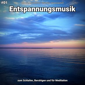 Download track Entspannungsmusik Pt. 30 Entspannungsmusik