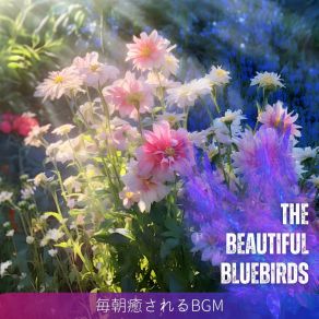 Download track Breakfast And Coffee The Beautiful Bluebirds