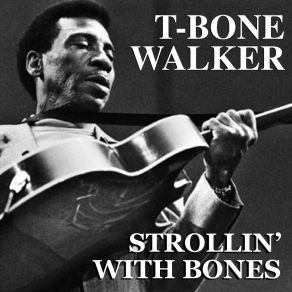 Download track Play On Little Girl T - Bone Walker