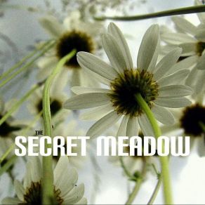 Download track The Secret Meadow Greg Bayney