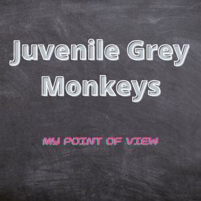 Download track On The Beach Juvenile Grey Monkeys