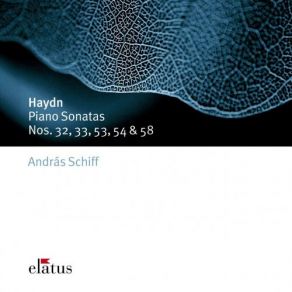 Download track Haydn: Piano Sonata No. 32 In G Minor Hob. XVI, 44: II Allegretto András Schiff