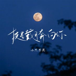 Download track 披星戴月奔向你 小只芋泥