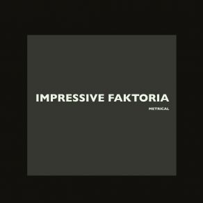 Download track Metrical (Original Mix) IMPRESSIVE FAKTORIA