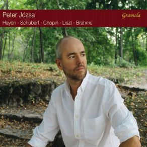 Download track Piano Sonata In A Minor, D. 537: I. Allegro Ma Non Troppo (Live) Péter Józsa