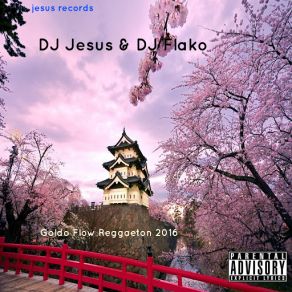 Download track Salgo DJ Flako