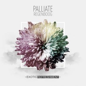 Download track Regenboog (Anii Remix) PALLIATE