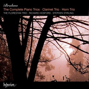 Download track Brahms: Trio In C Minor For Piano, Violin & Cello, Op. 101 - 1. Allegro Energico The Florestan Trio, Stephen Stirling, Richard Hosford