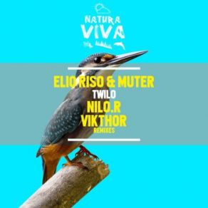 Download track Twilo (NiLO. R Remix) Elio Riso, Muter