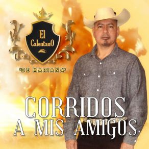 Download track Corrido De Ciro Liera El Calentano De Mariana