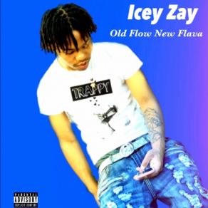 Download track Fyp Icey Zay