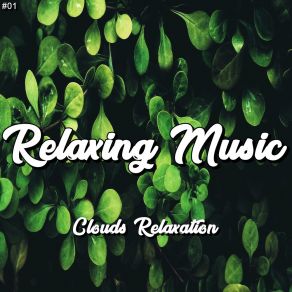 Download track Meditation Entspannende Schwingungen MusicoterapiaTeam