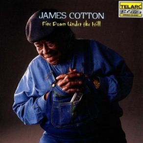 Download track Feel Like Going Home James Cotton