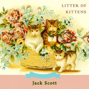 Download track Indiana Waltz Jack Scott