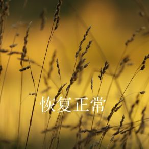 Download track 疼得厉害 林宣明