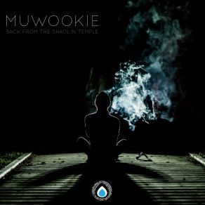 Download track Back From The Shaolin Temple (Original Mix) MuWookie