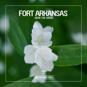 Download track Hear The Sound (Original Club Mix) Fort Arkansas