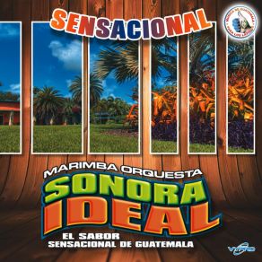 Download track Mix Duranguense Sensacional # 4: Tu Ex Amor / Donde Estaras (Come Vorrei) Marimba Orquesta