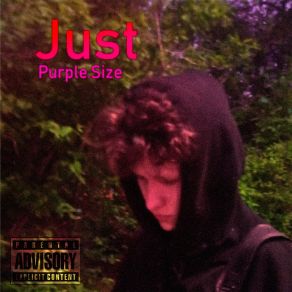 Download track Wussap Inside Purple. SizeIceberg