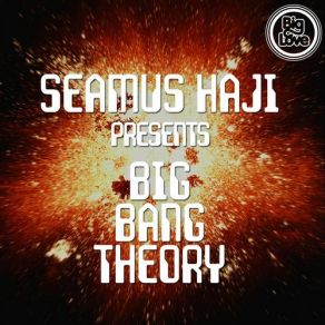 Download track Whatcha Say C'Mon (Original Mix) SEAMUS HAJI, Big Bang Theory