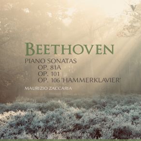 Download track Piano Sonata No. 28 In A Major, Op. 101: IV. Geschwind, Doch Nicht Zu Sehr, Und Mit Entschlossenheit Maurizio Zaccaria