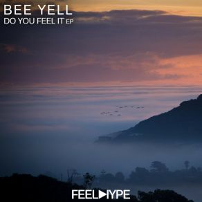 Download track Do You Feel It (Original Mix) Bee Yell