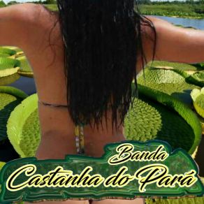 Download track Garota De Programa Banda Castanha Do Pará