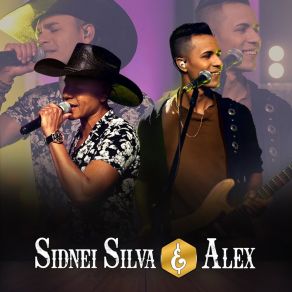 Download track Faltou Coragem Sidnei Silva E Alex