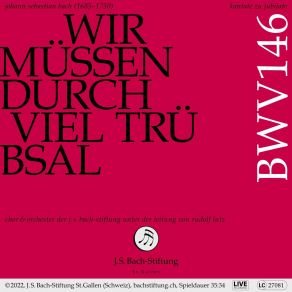 Download track Wir Müssen Durch Viel Trübsal, BWV 146: I. Sinfonia (Live) Rudolf Lutz, Chor Der J. S. Bach-Stiftung, Orchester Der J. S. Bach-Stiftung