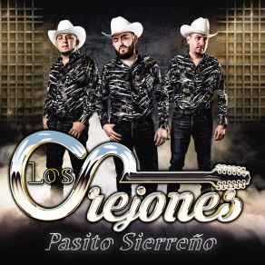 Download track Coco Rayado Los Orejones