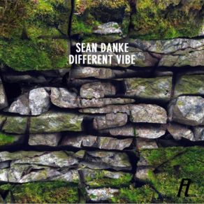 Download track Acid Vibe (Original Mix) Sean Danke